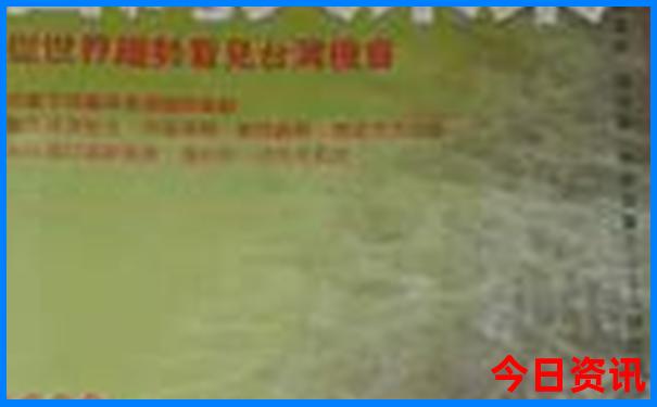 暑假可以去什么地方玩
